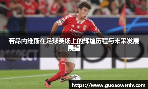 若昂内维斯在足球赛场上的辉煌历程与未来发展展望